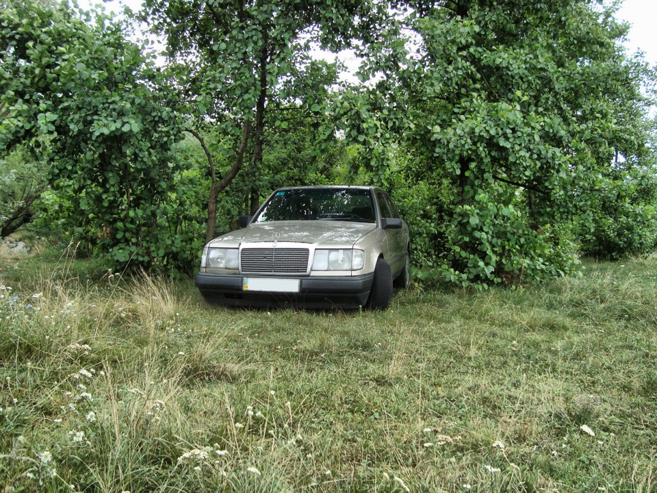 А Дизель Повер що тільки і робить так це все літо у вихідні штурмує область вилазками на природу з наметами) 2