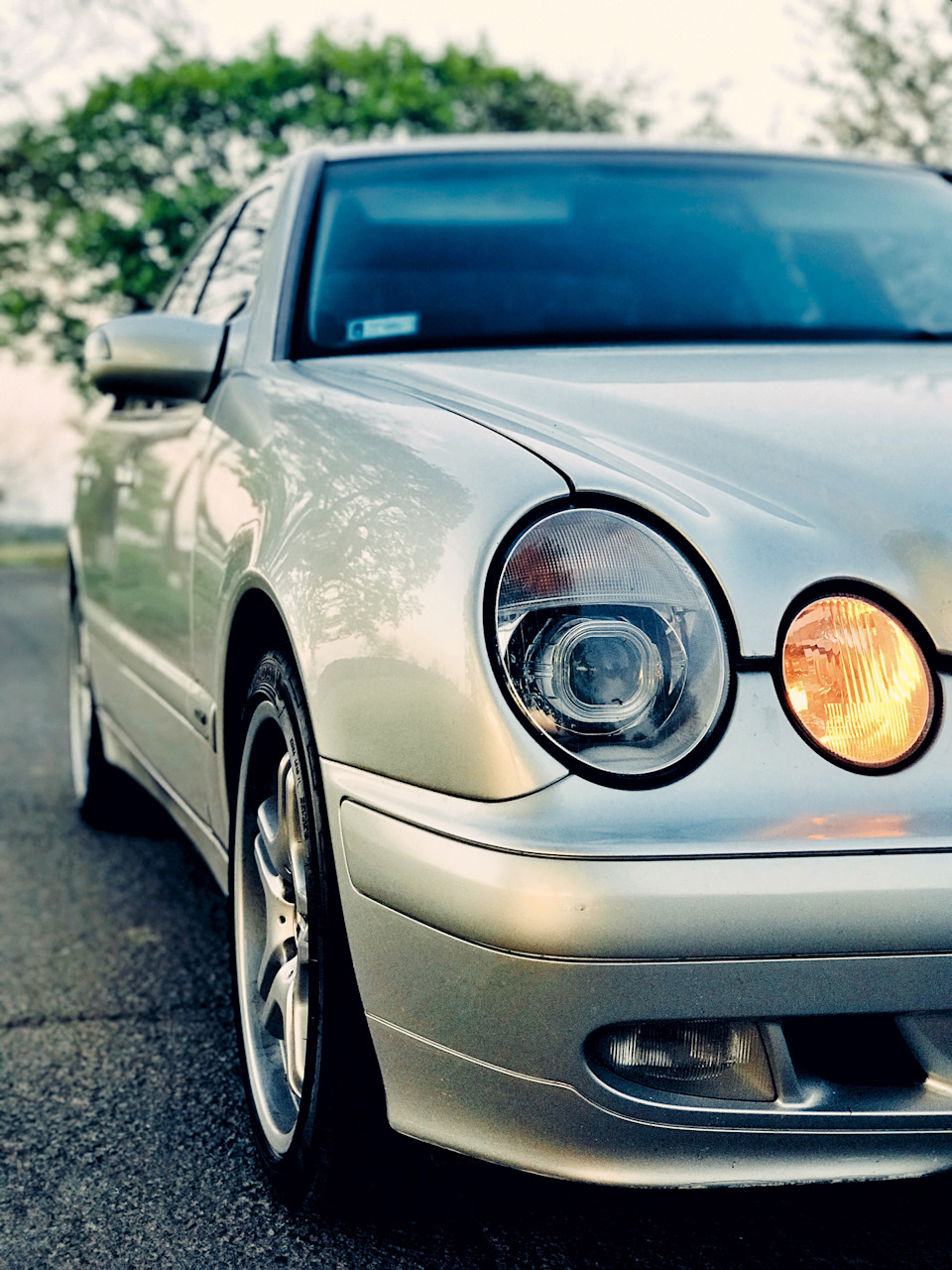 Літо на r18 AMG IV style 2