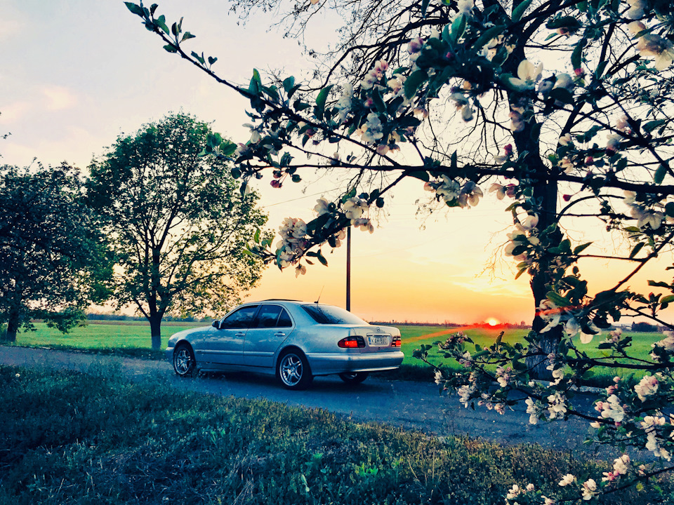 Літо на r18 AMG IV style 5