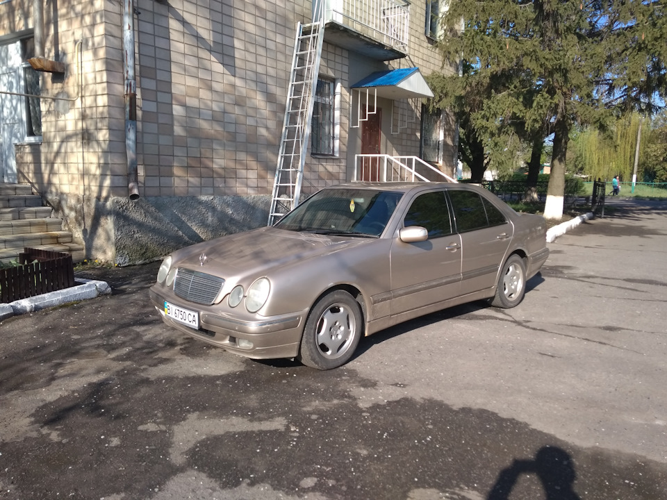 Новий вихованець. 1