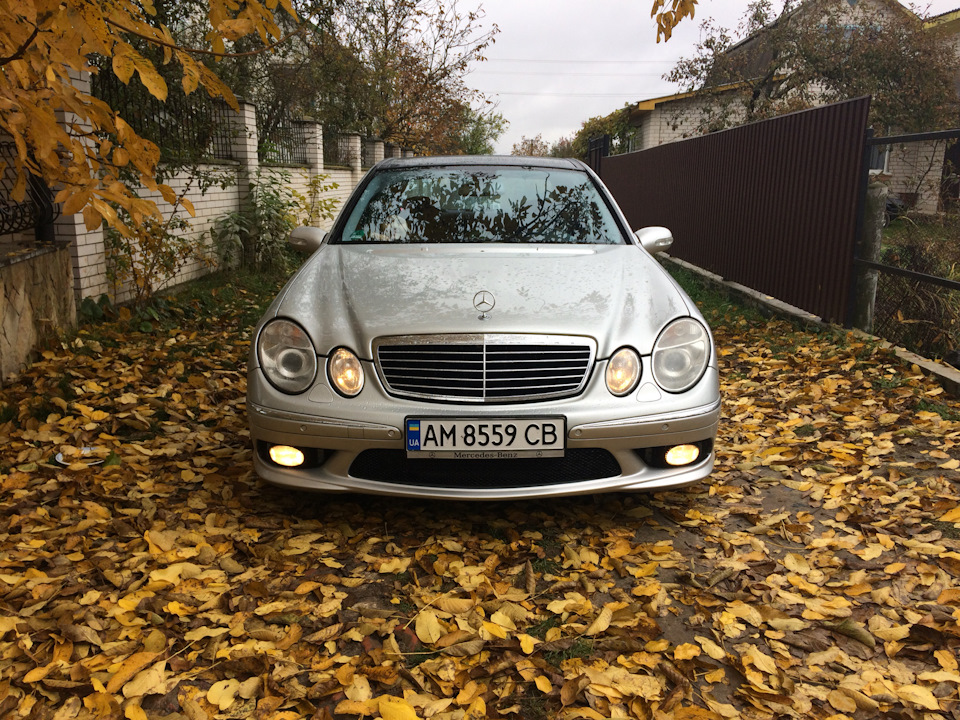 Мерсовець 5
