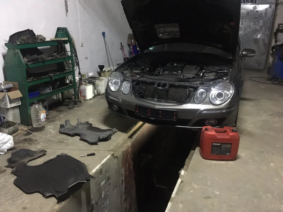 #w211 Красуня вдома в Україні 🤘🏻😀