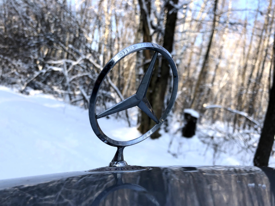 Поїздка до Святогірська та ліс 2