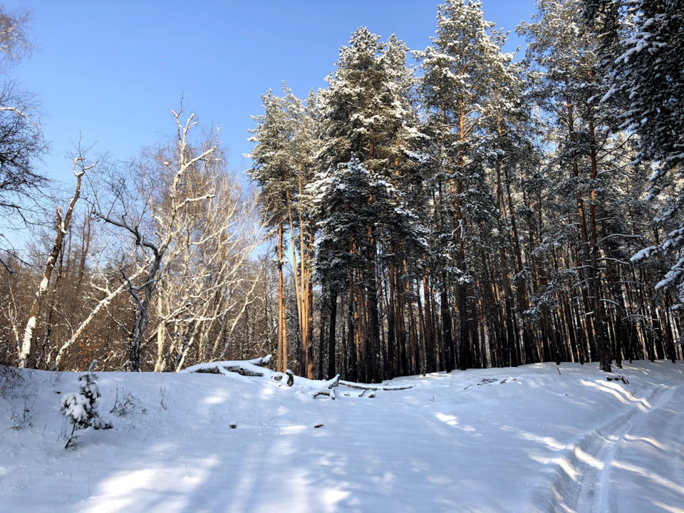 Поїздка до Святогірська та ліс 3