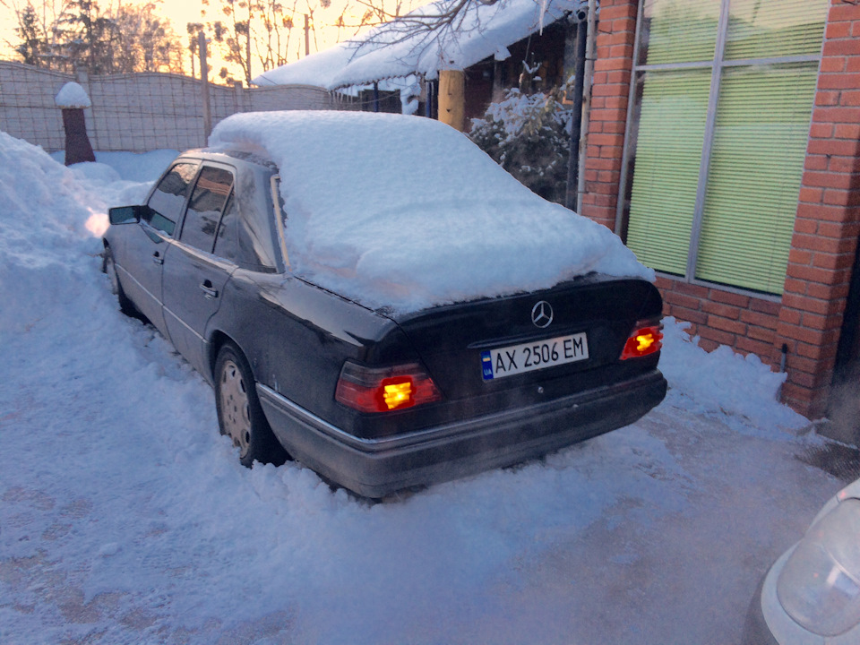 Перезимували) 2