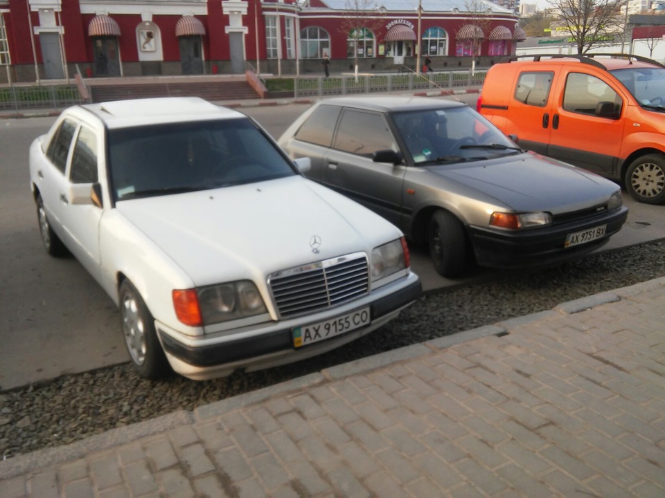 Встановив листя 2