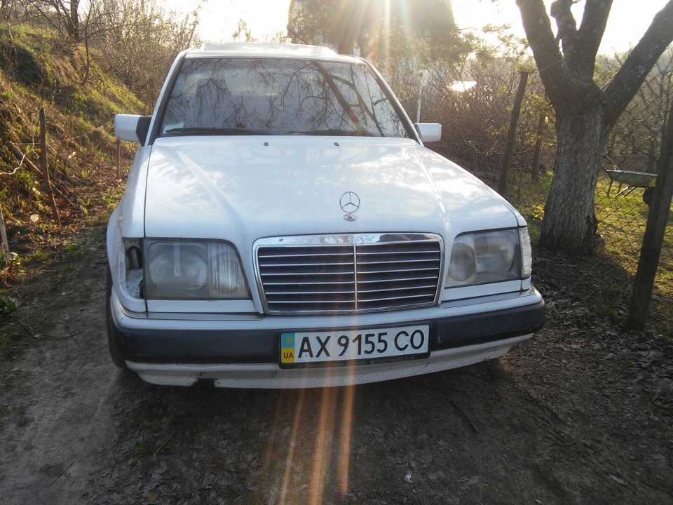 Встановив листя 5