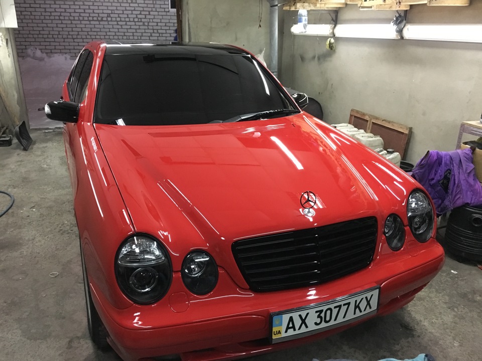 Фотозвіт. Поцілунок мій блискучий зад :) 4