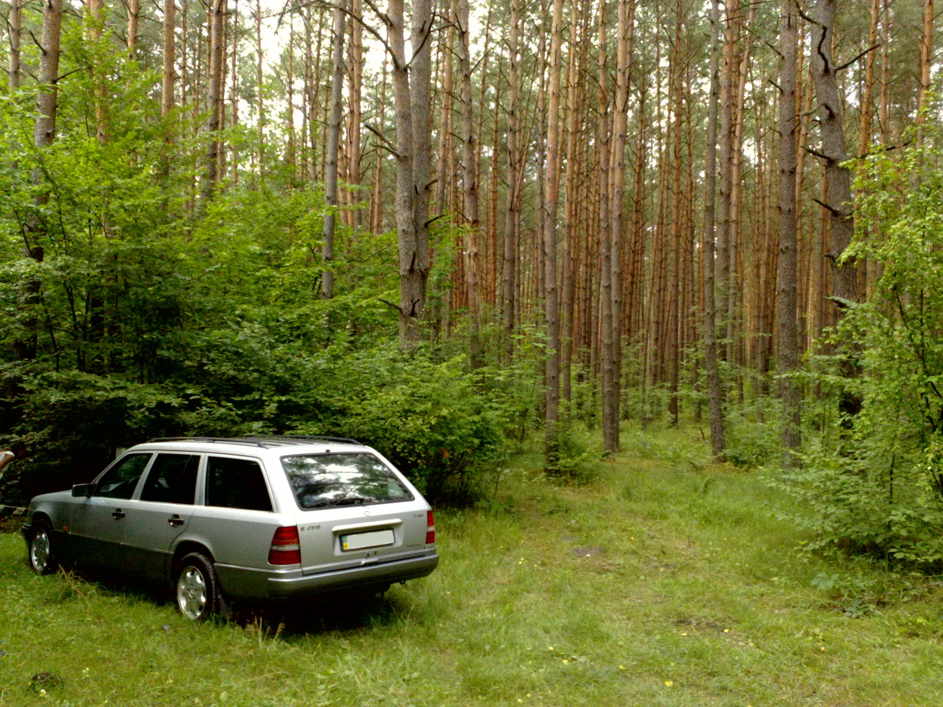 1. Нові фотки) 5