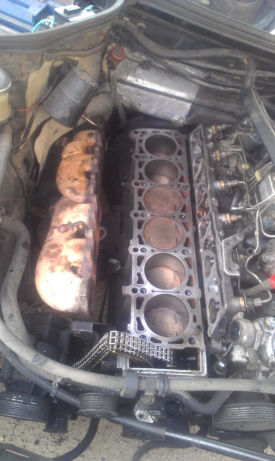 серце вимагає чищення…((( 3