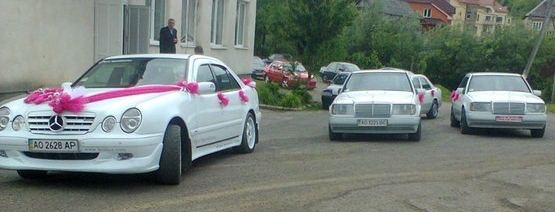 кілька нових фото 5