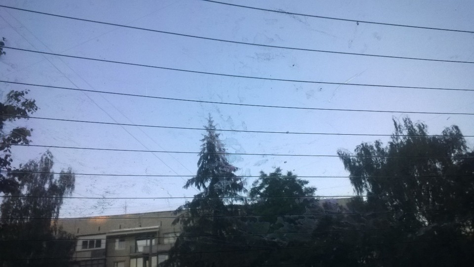 Камасутра на задньому дивані 1