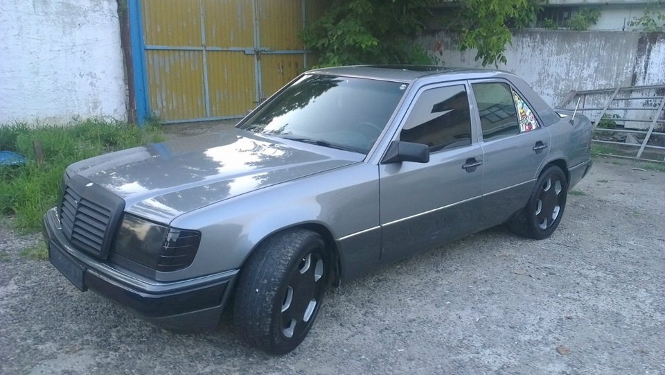 Любимчик 1