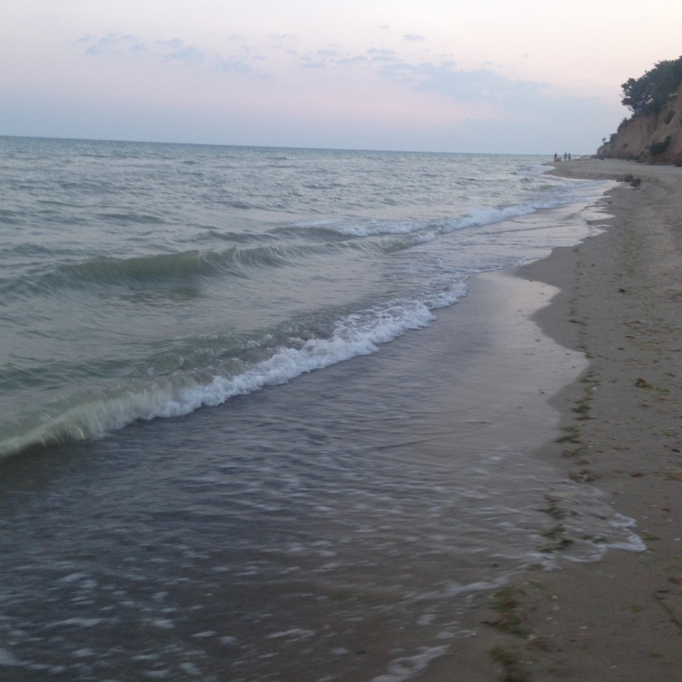 Лебедівка 2015)) 2