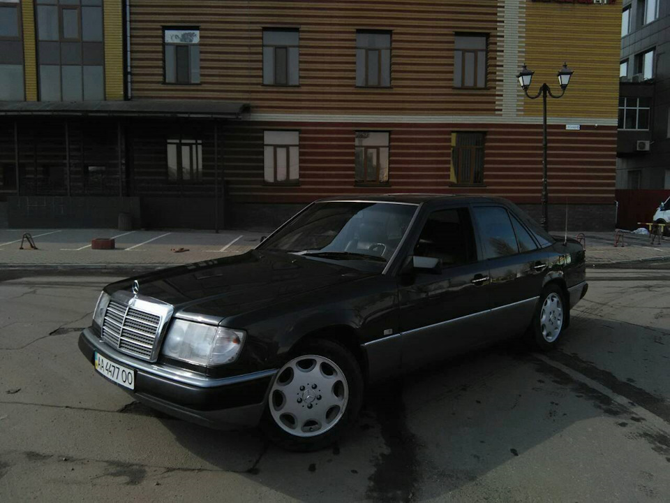 Поставив Ромашки 3