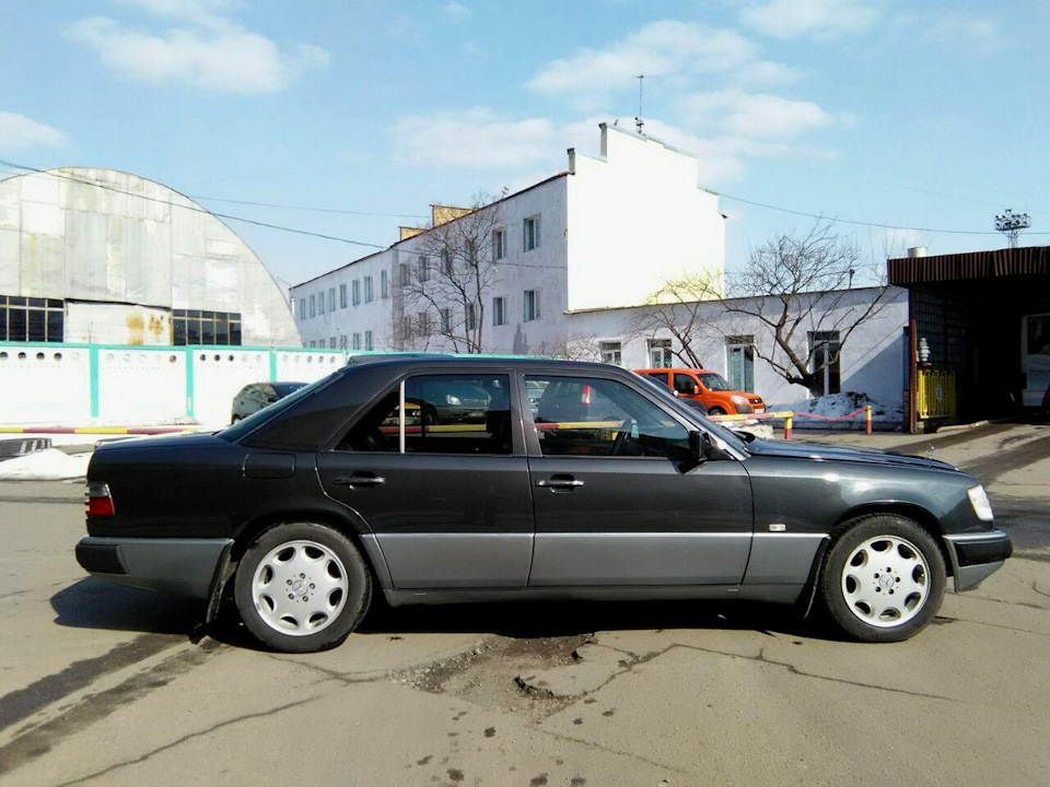 Поставив Ромашки 5