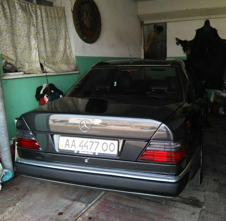 Поставив Ромашки 1
