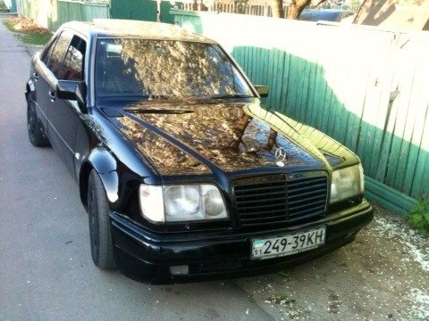 Продам Вовчка) 1