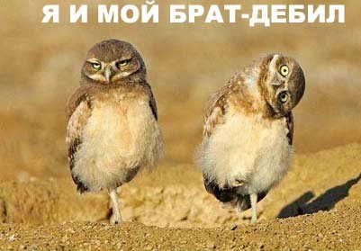 Вентилятор у стрінгах 2