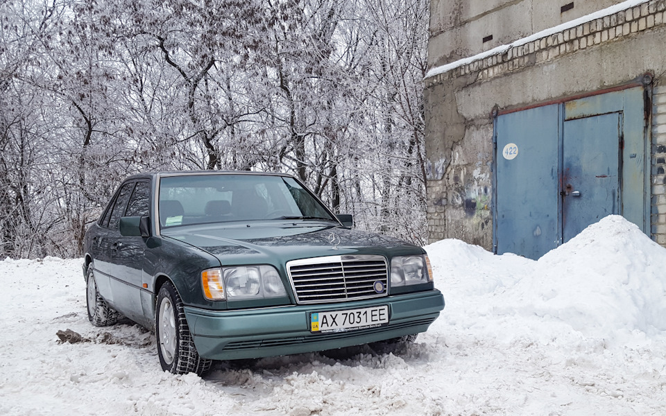 Зимова сплячка. Recaro Ergomed DS 1