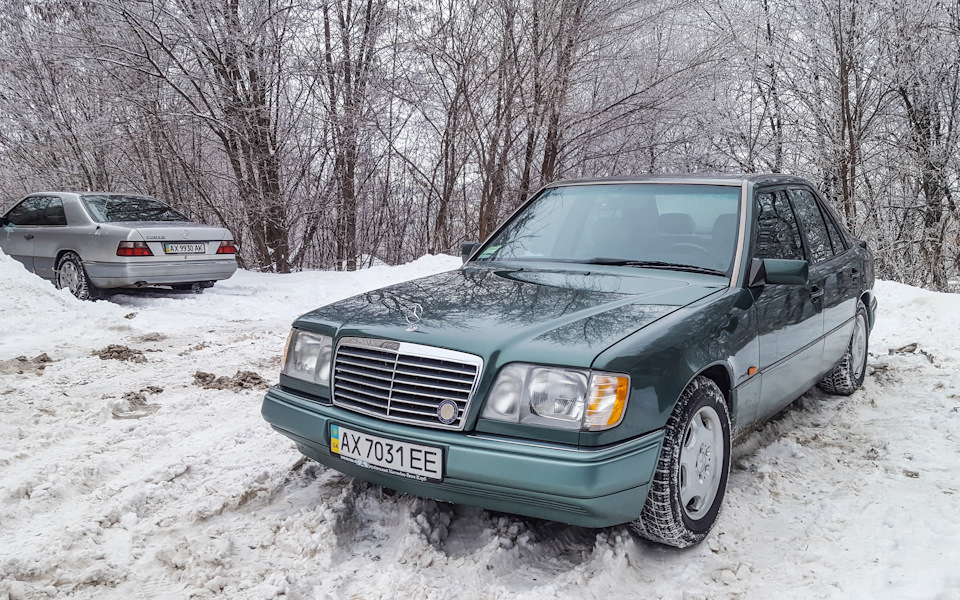 Зимова сплячка. Recaro Ergomed DS 2