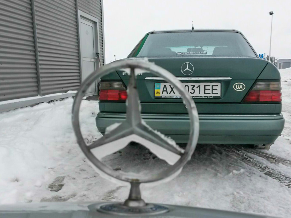 Зимова сплячка. Recaro Ergomed DS 5