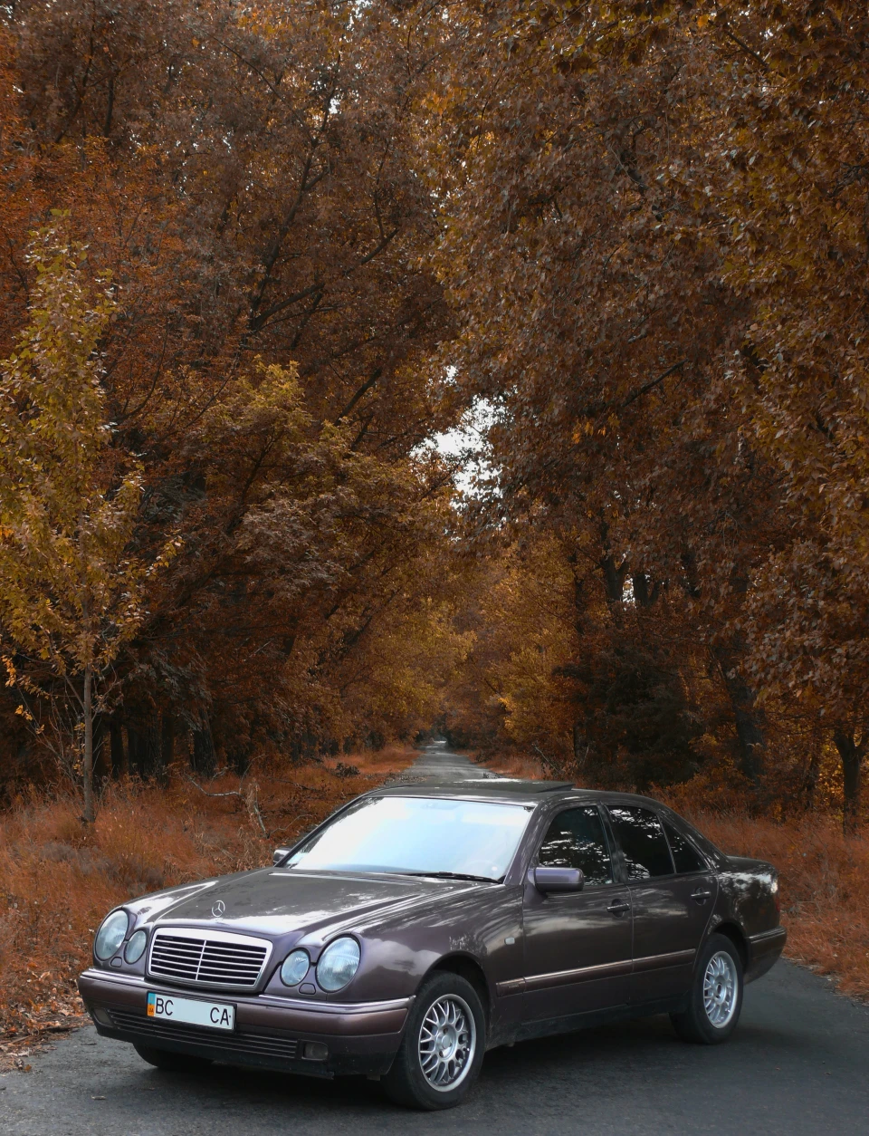 Невеликий фотосетик:)