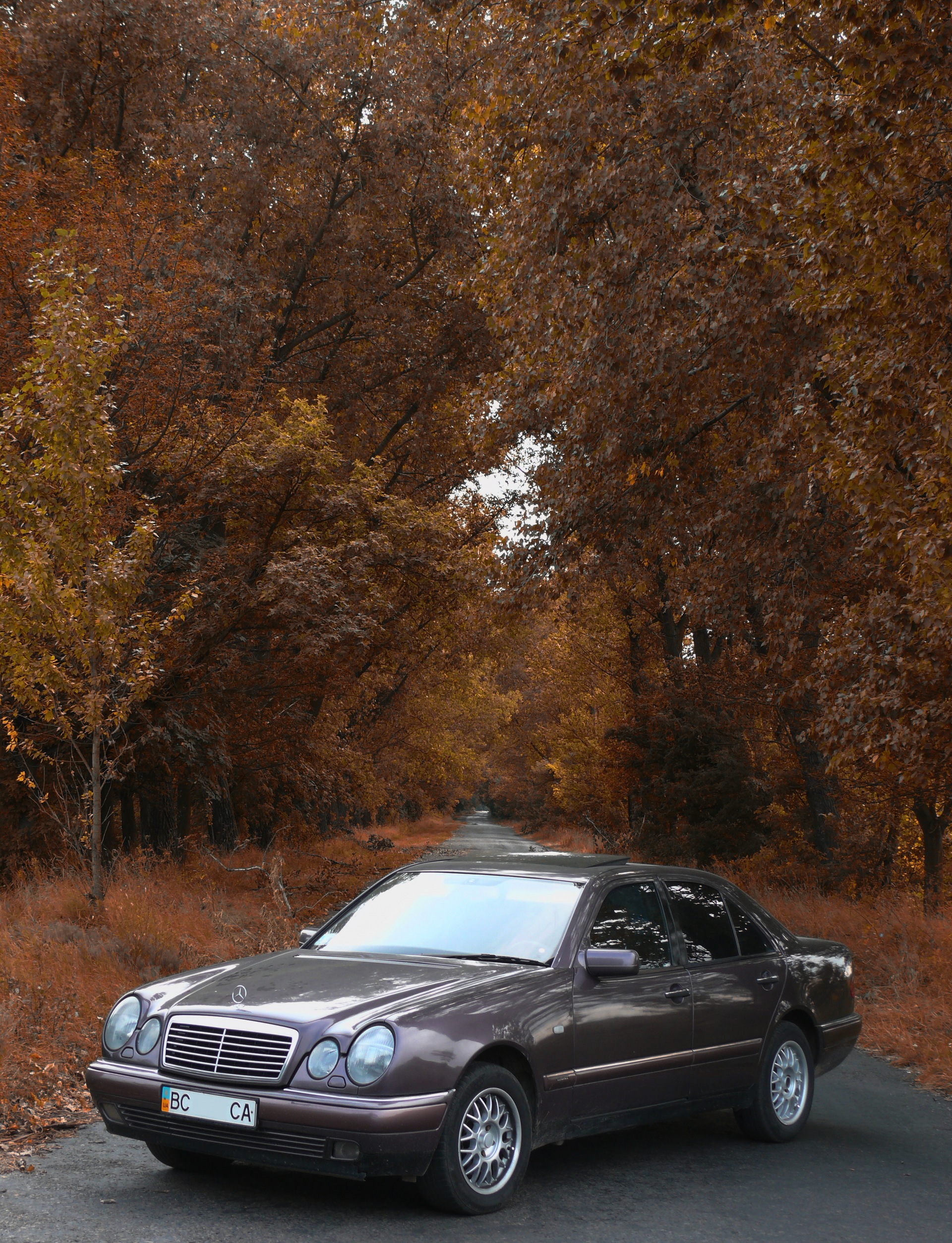 Невеликий фотосетик:) 1