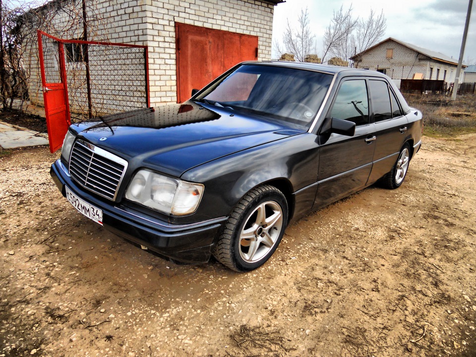Перші фотографії Ганса. 2