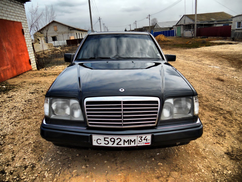 Перші фотографії Ганса. 3