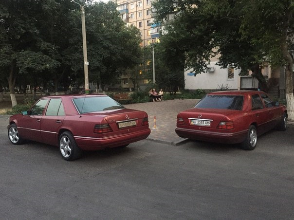 Ти зовсім збожеволів? 1