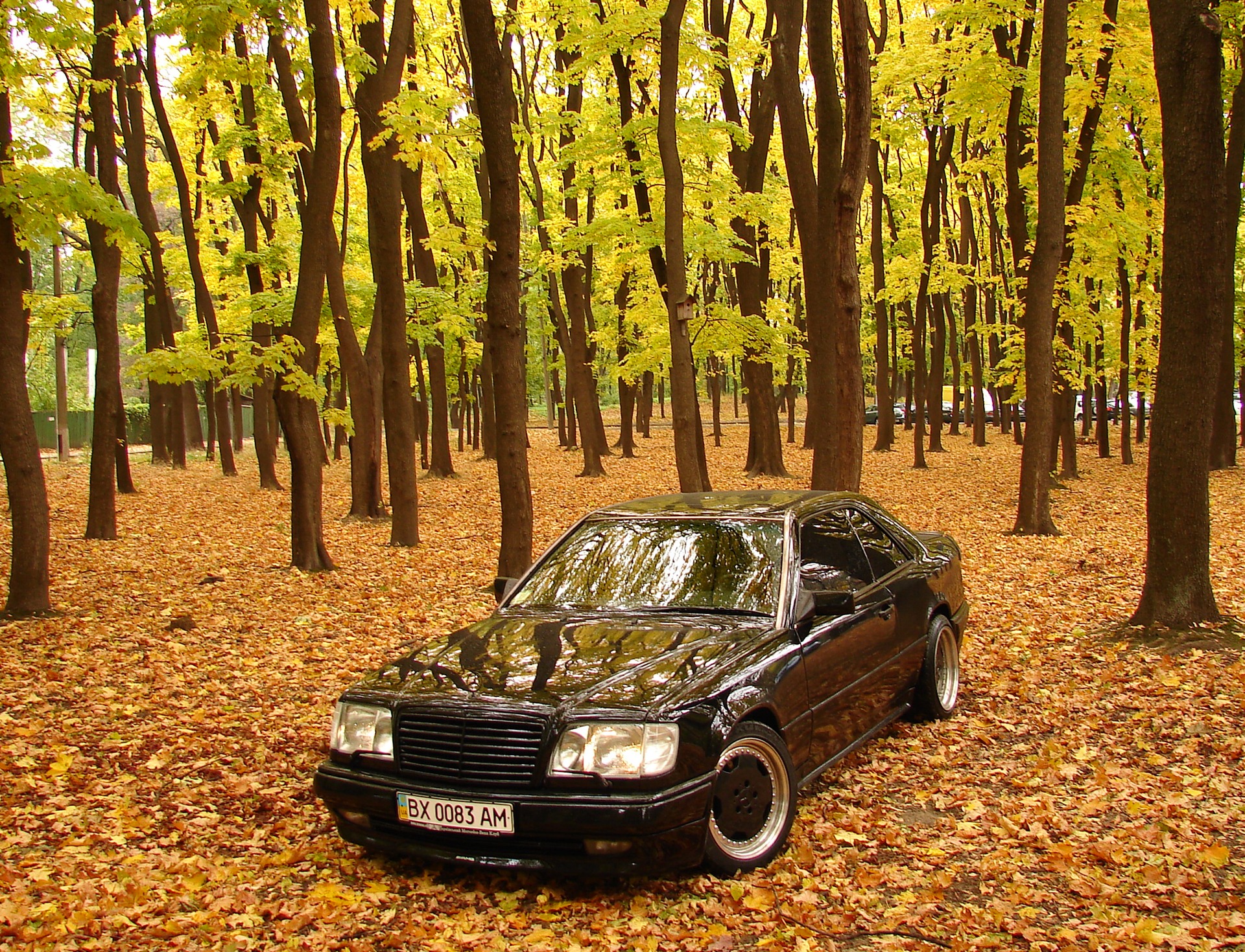 осінь 3