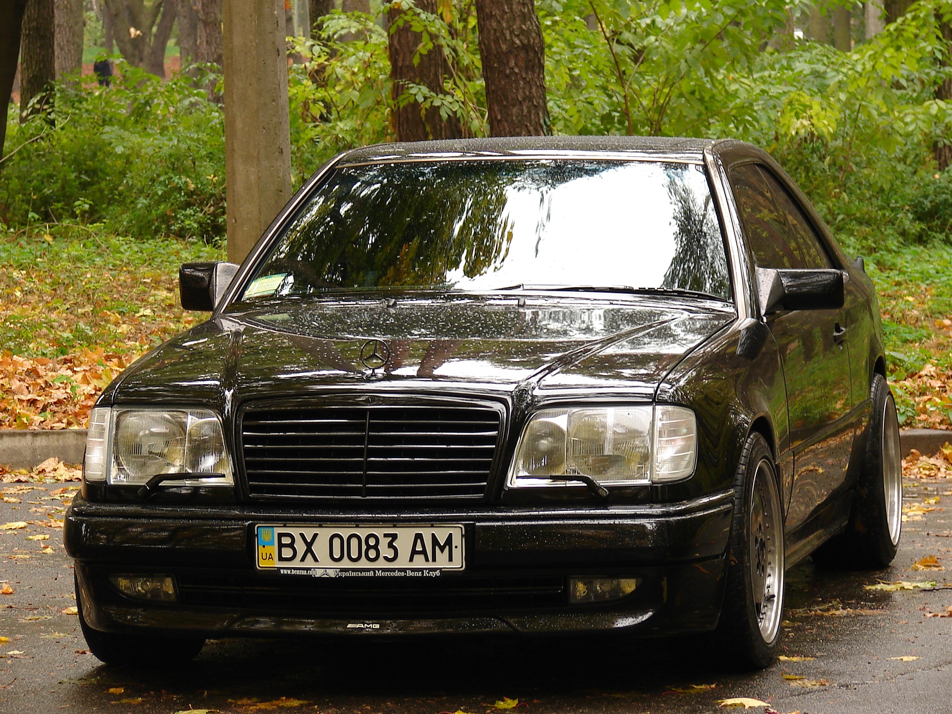 осінь 1