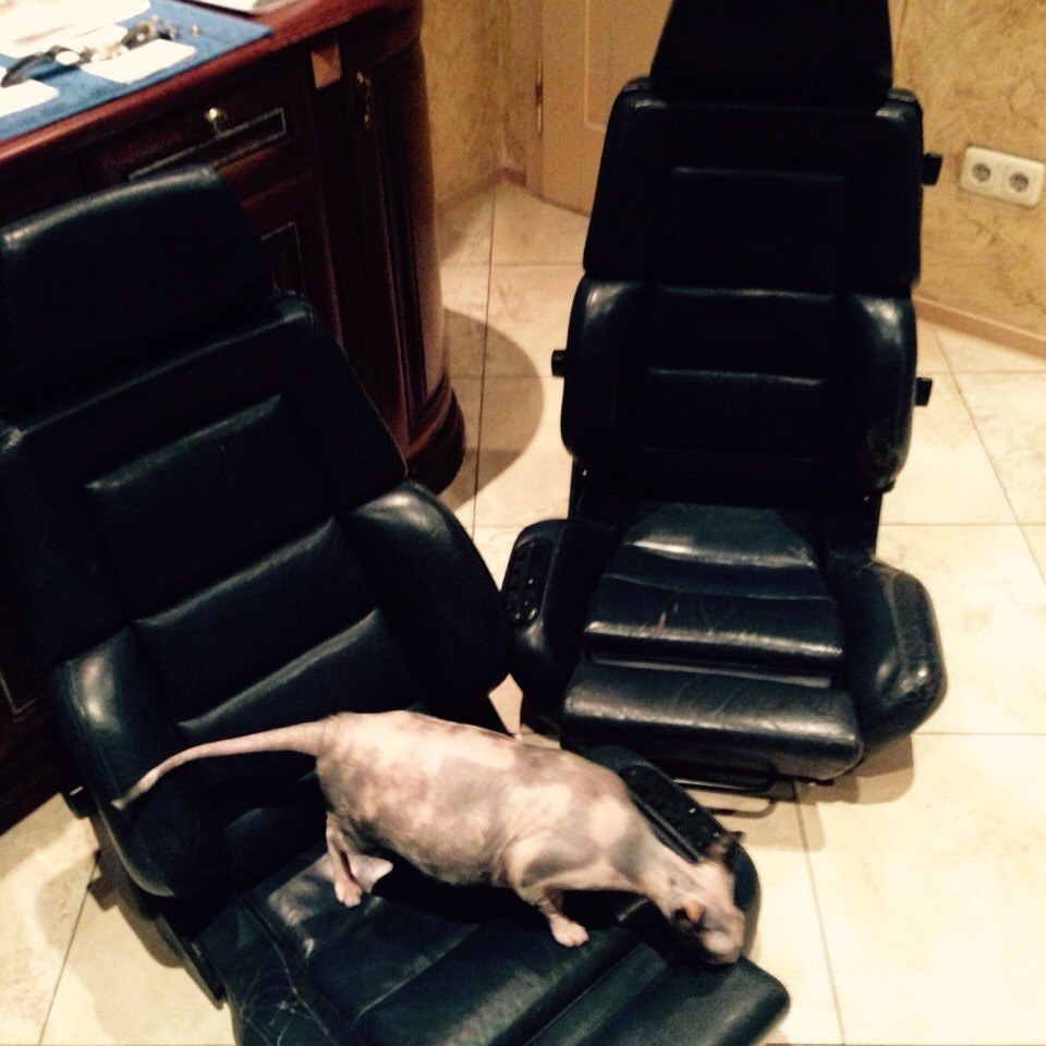 дуже коротко…RECARO C 3