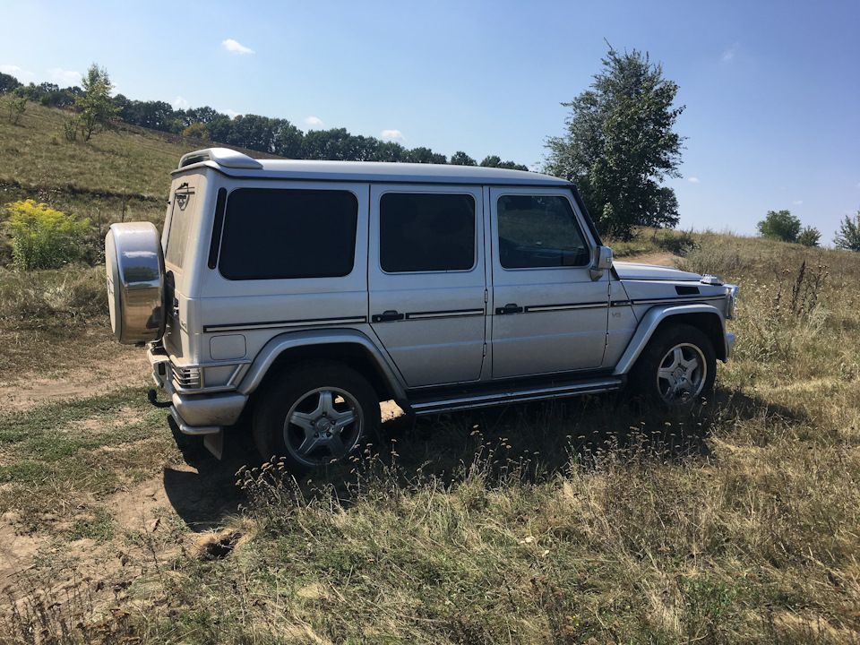 Дачне: блокування червоним так і не спалахнули 5