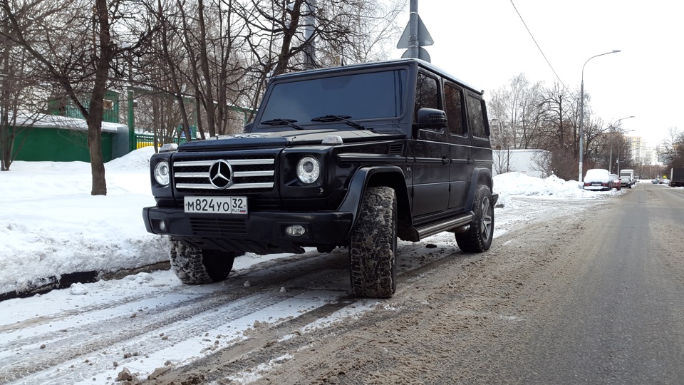 Чорний лоб 5