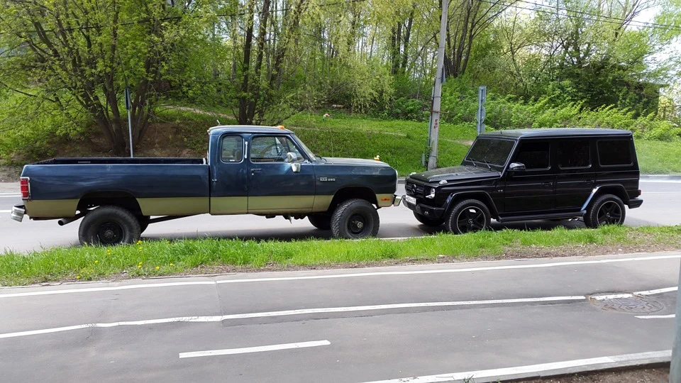 Слон и моська