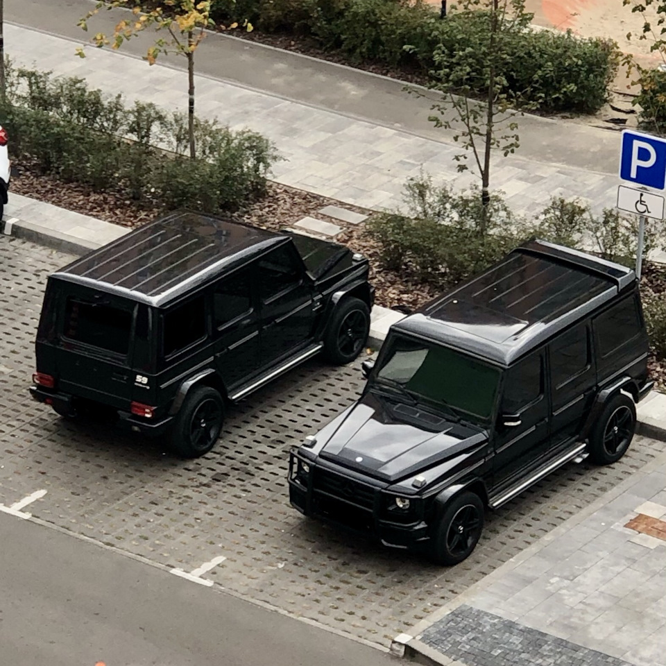 Нові друзі 2
