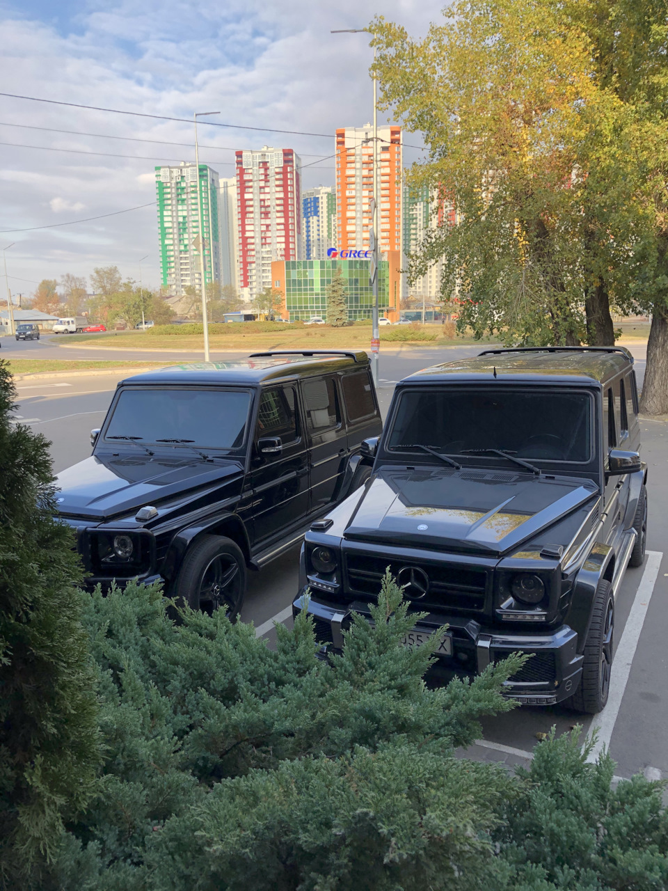 Нові друзі 4