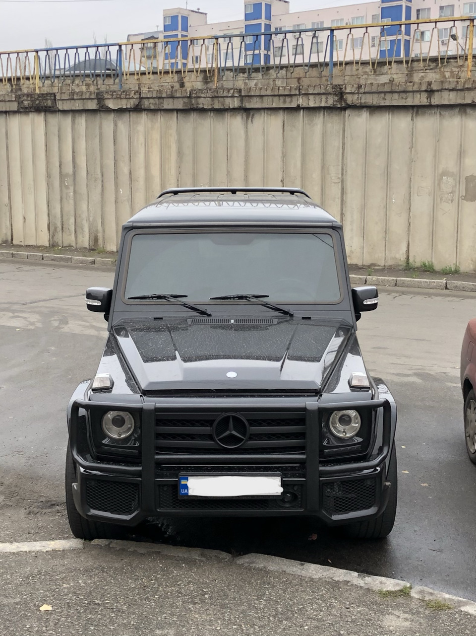 Нові друзі 5