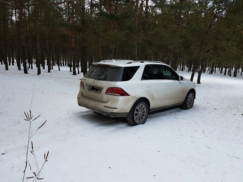 Білий грязнуля