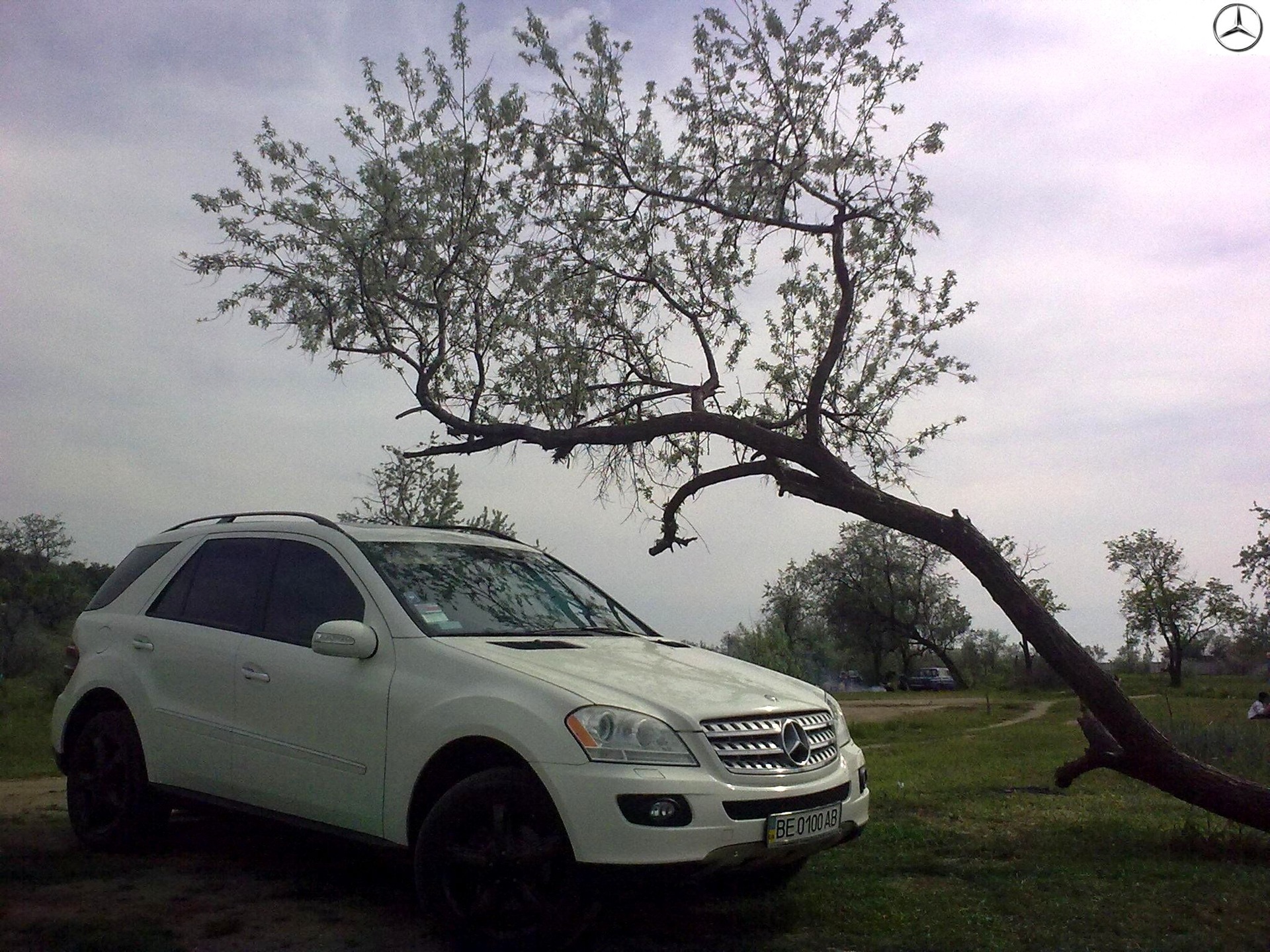 photosession) 1