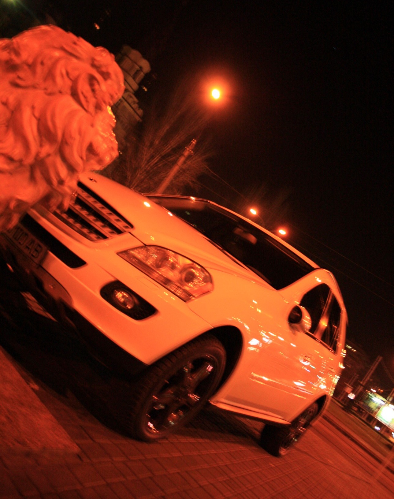 photosession \/II night 2