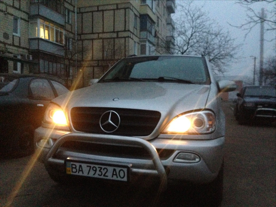 мухобійка