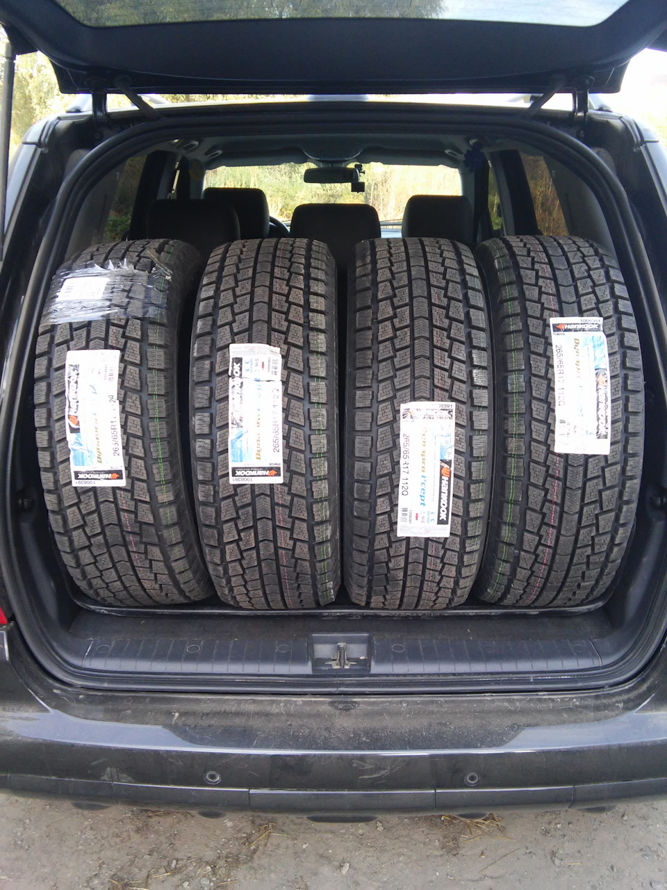 Готуй сани влітку)) 5