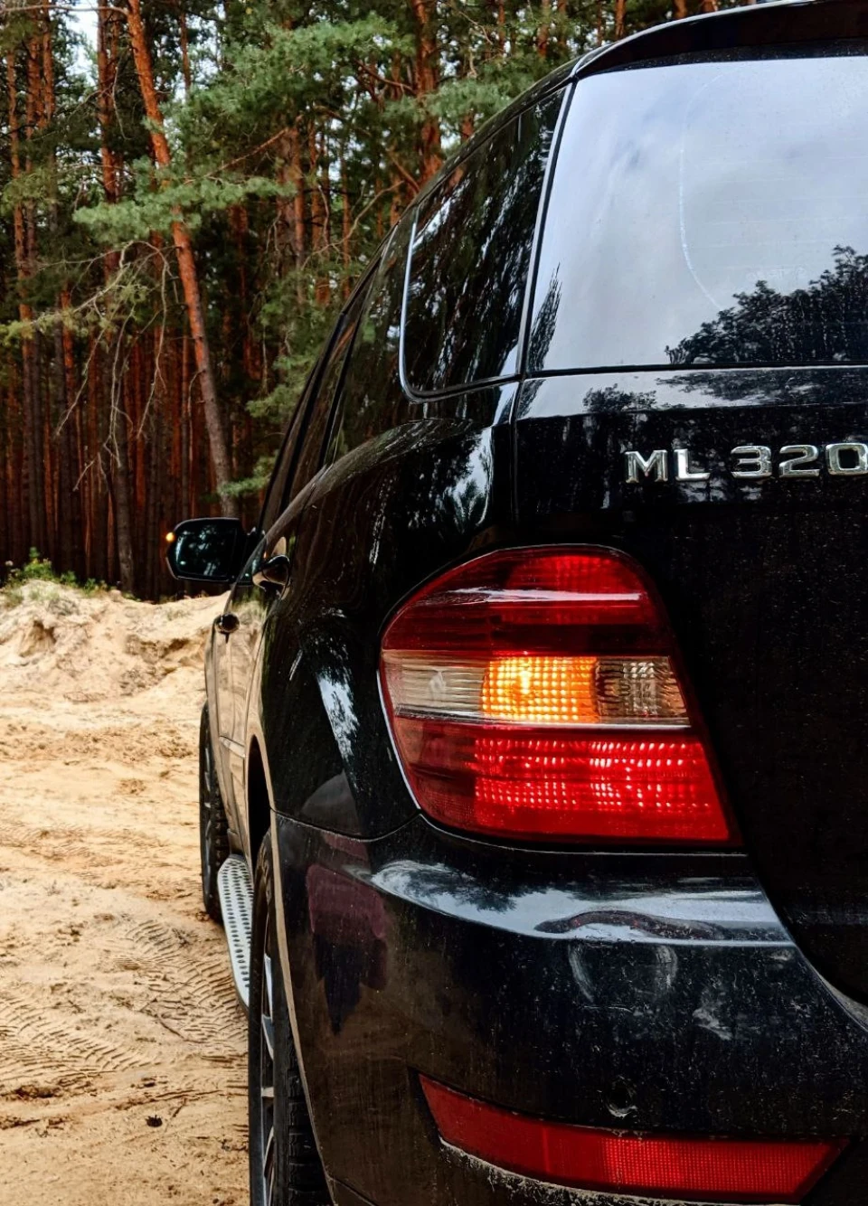 Meguiars у справі. Трохи косметики.