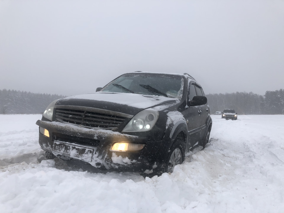 Покотушки 16.01.2021 4