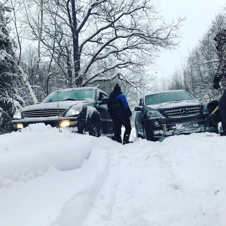 Покотушки 16.01.2021 1