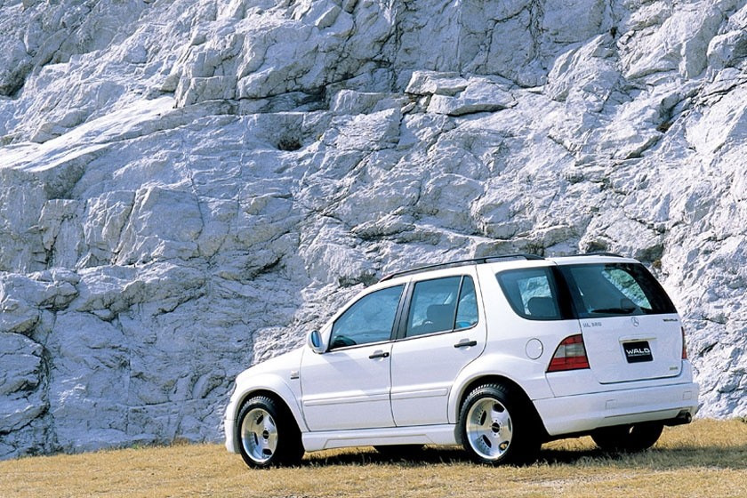 Обважування WALD BlackBizon для Mercedes-Benz M-class W163 3