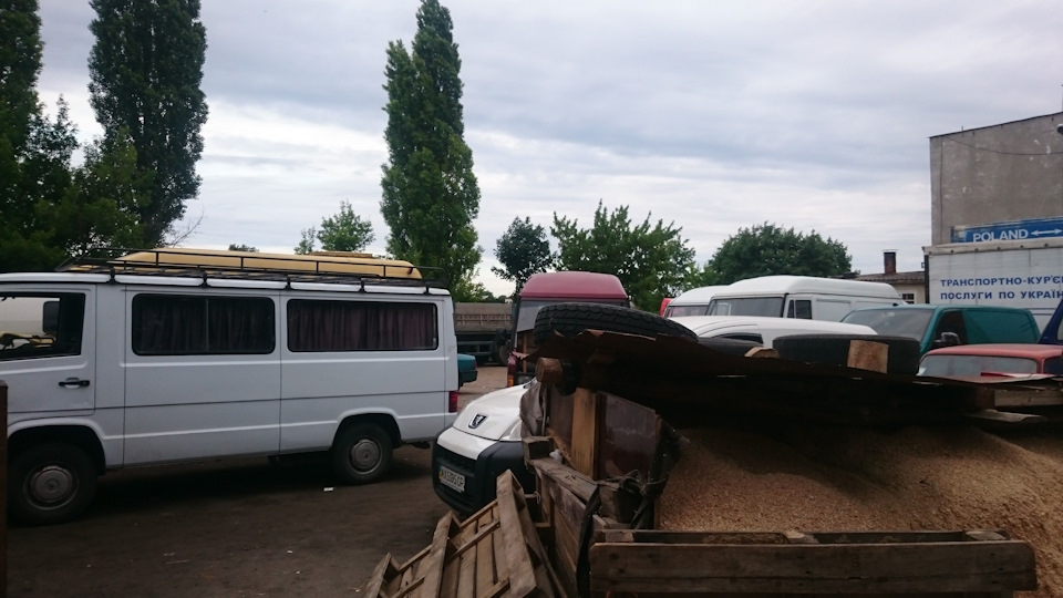 Знайомство з місцевими Бусогуру. Вироки. 1
